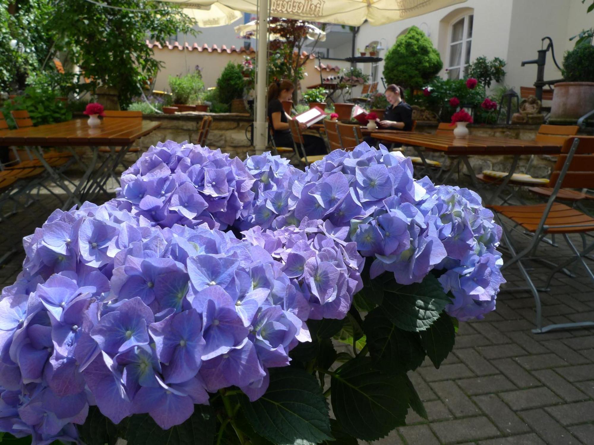 Hotel-Restaurant Roter Ochsen Lauchheim Dış mekan fotoğraf